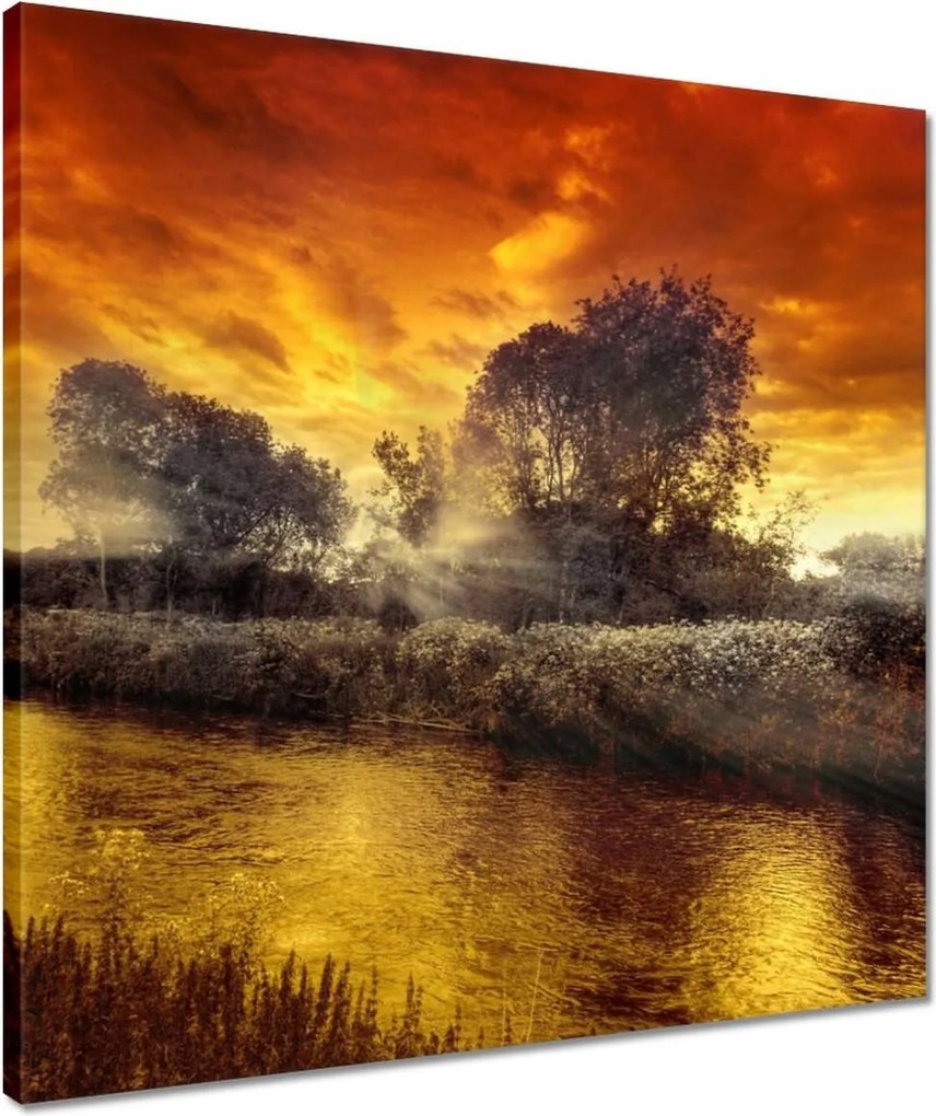 Vászonkép 50x50 Mézes tájkép