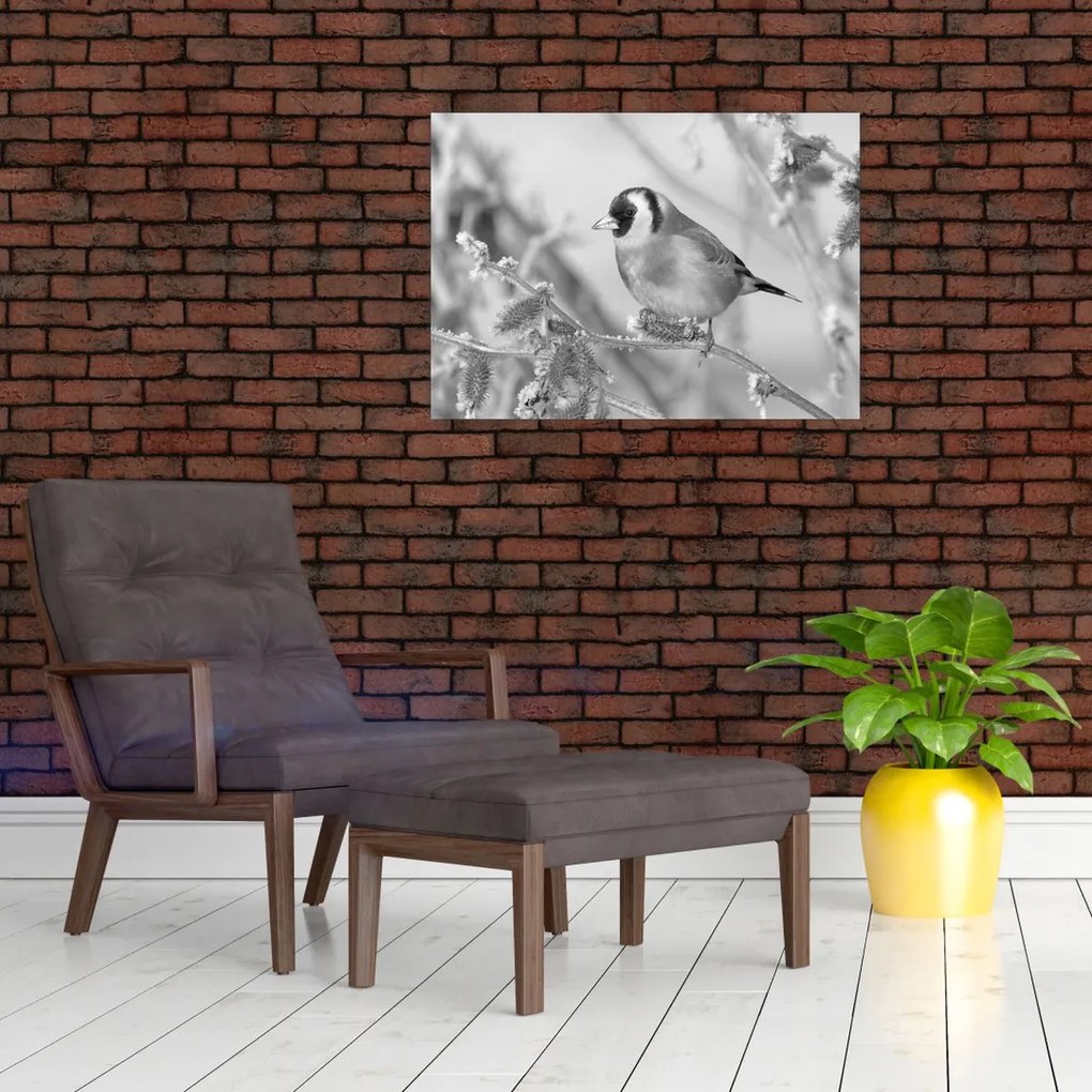 Kép - Egy madár télen (70x50 cm)