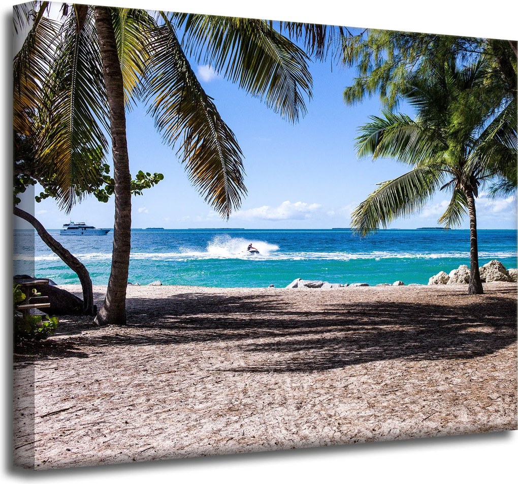 Vászonkép Természet Óceán pálmafák tengerpart 50x40 cm