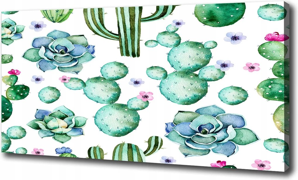 Canvas falikép Kaktuszok 120x60 cm