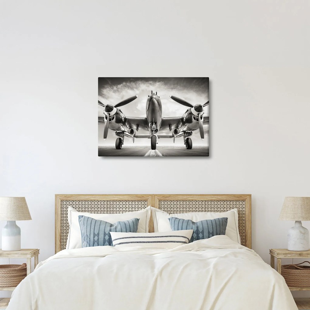 Kép - Warbird (70x50 cm)