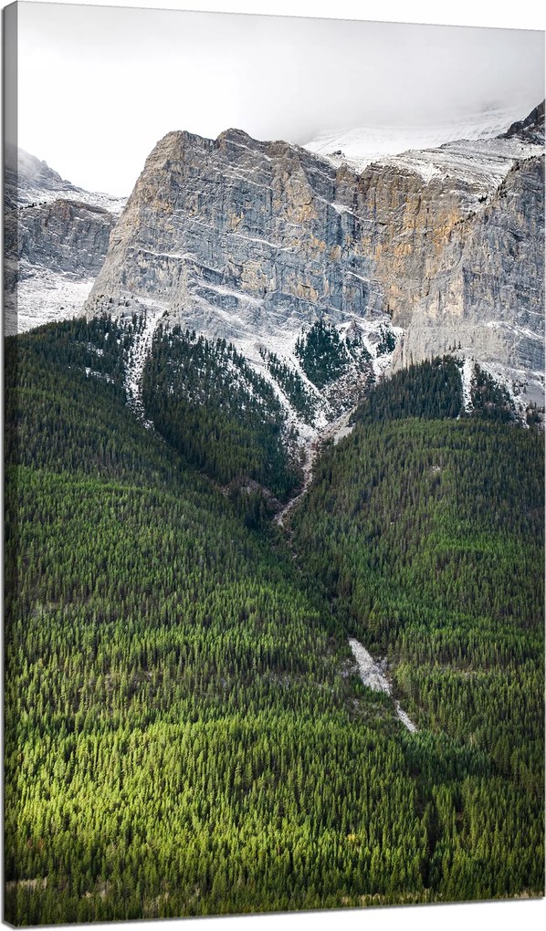 Vászonkép Természet Hegyi zátony erdő 70x120