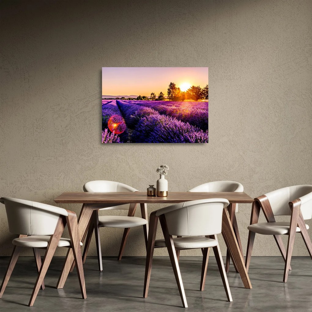 Levandula mező képe (üvegen) (70x50 cm)
