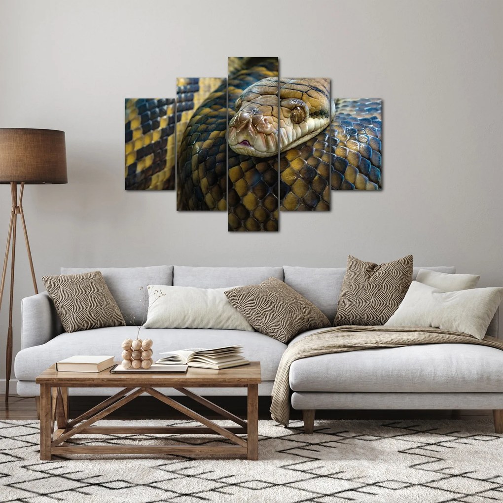 Kép - Piton (150x105 cm)
