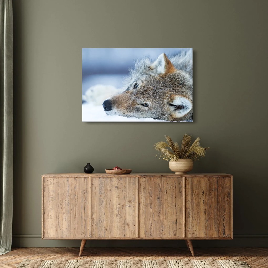 Kép - Farkas (90x60 cm)