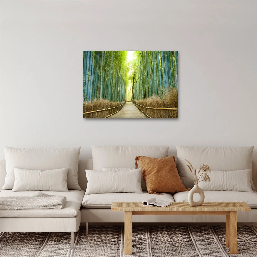 Kép - Bambusz erdő (70x50 cm)