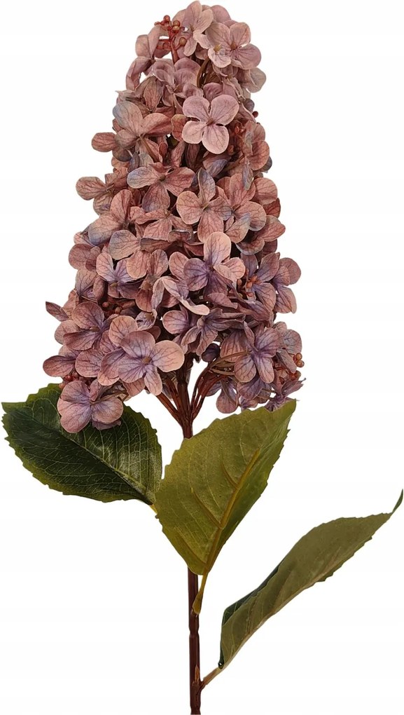 Hortenzia nagy ág barna-lila