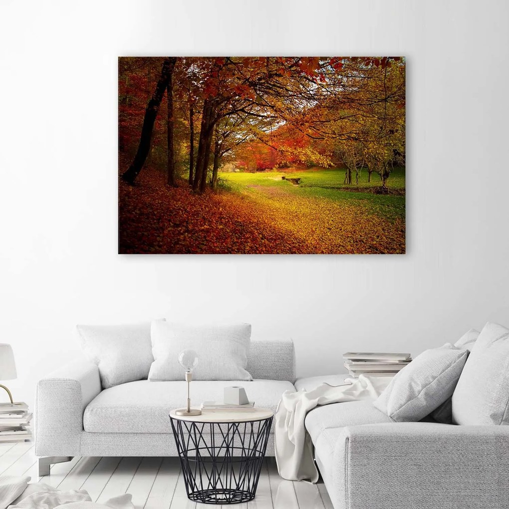 Gario Vászonkép Zöld erdei tisztás Méret: 100 x 70 cm