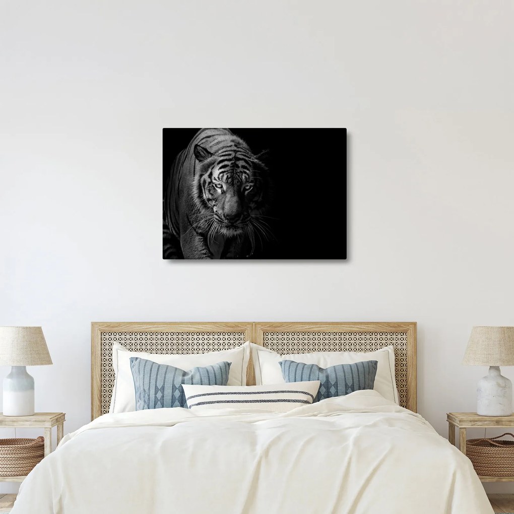 Egy vadtigris képe (70x50 cm)