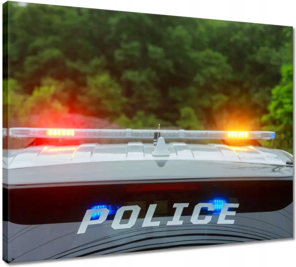 Vászonkép 50x40 Villogó rendőrségi fények
