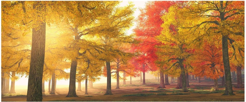 Őszi fák képe (120x50 cm)
