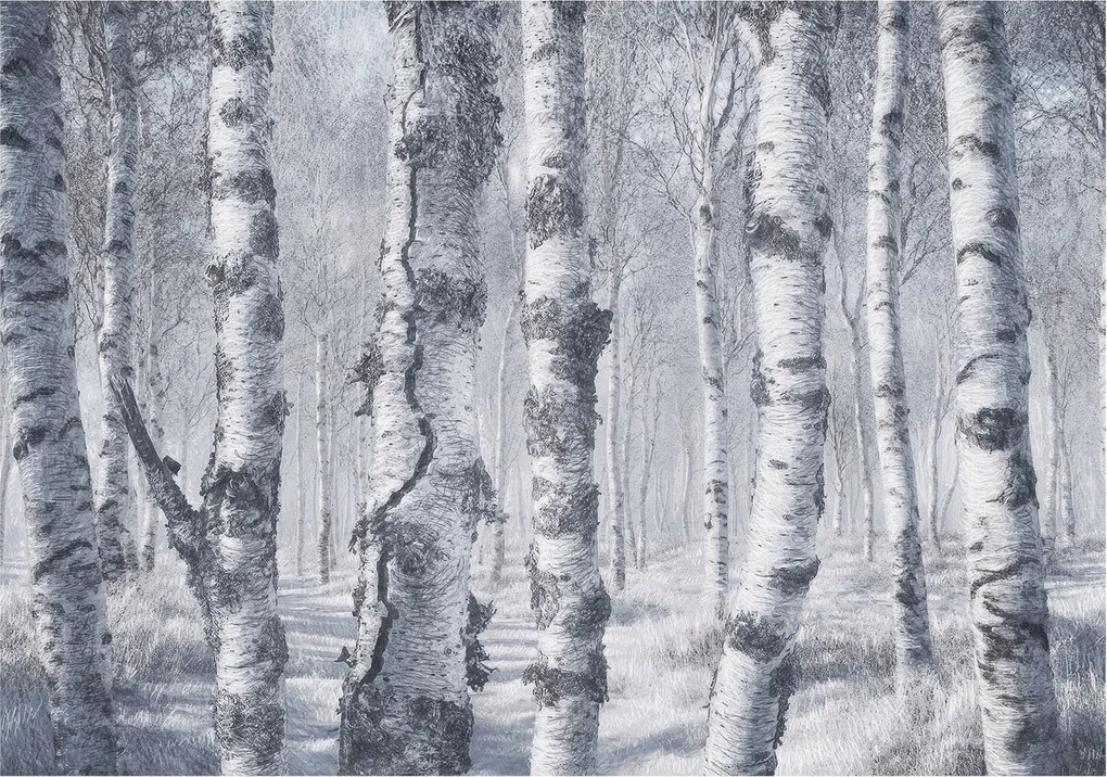 Fotótapéta Flizelin Hálószoba és Nappali Tapéta Fagyos természet 312x219