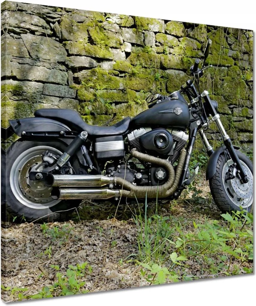 Vászonkép 50x50 Harley Davidson Motorkerékpár