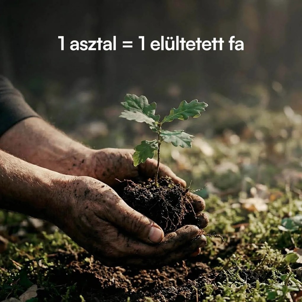 Állítható magasságú asztal Liftor Entry