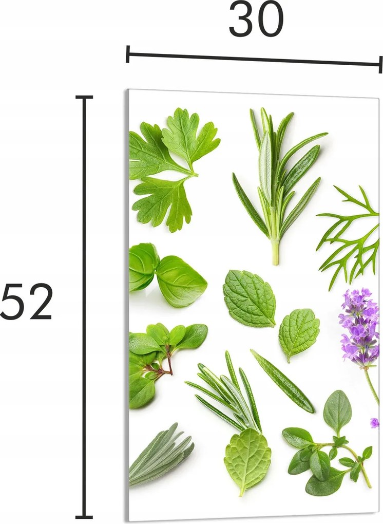 Üveg Vágódeszka 30x52 Növények