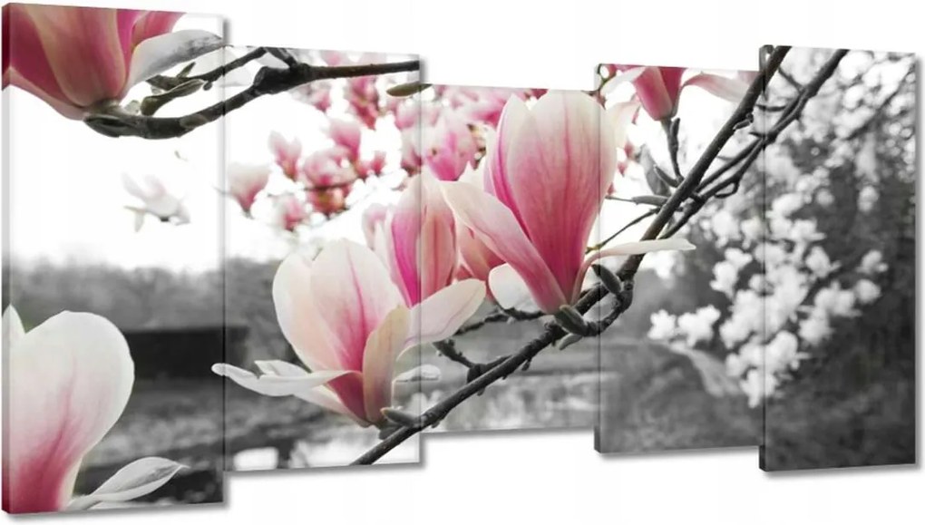 Vászonkép 150x80 Magnólia Virágok
