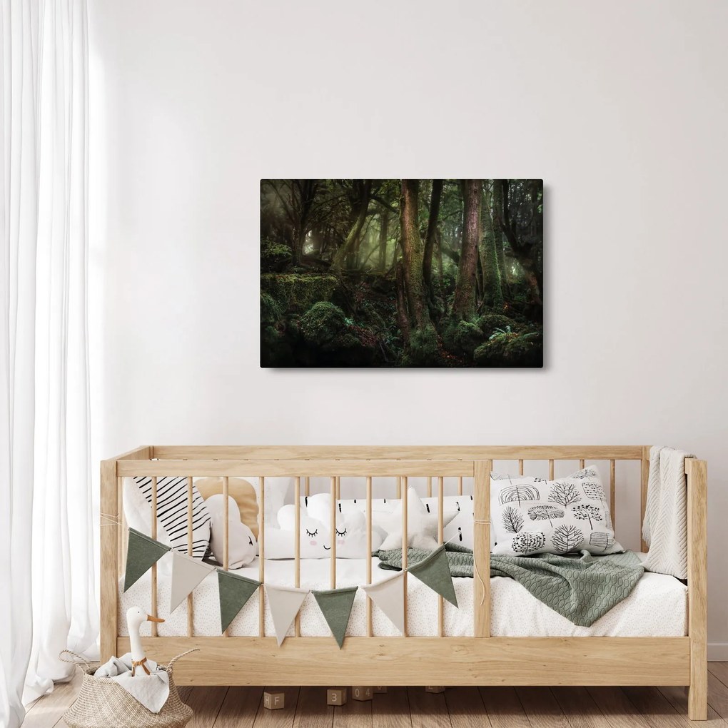 Kép - Titokzatos erdő (90x60 cm)