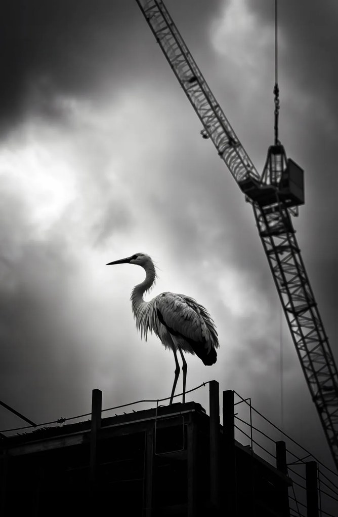 Poszter 56,6x86,4cm Magasan a horizont felett