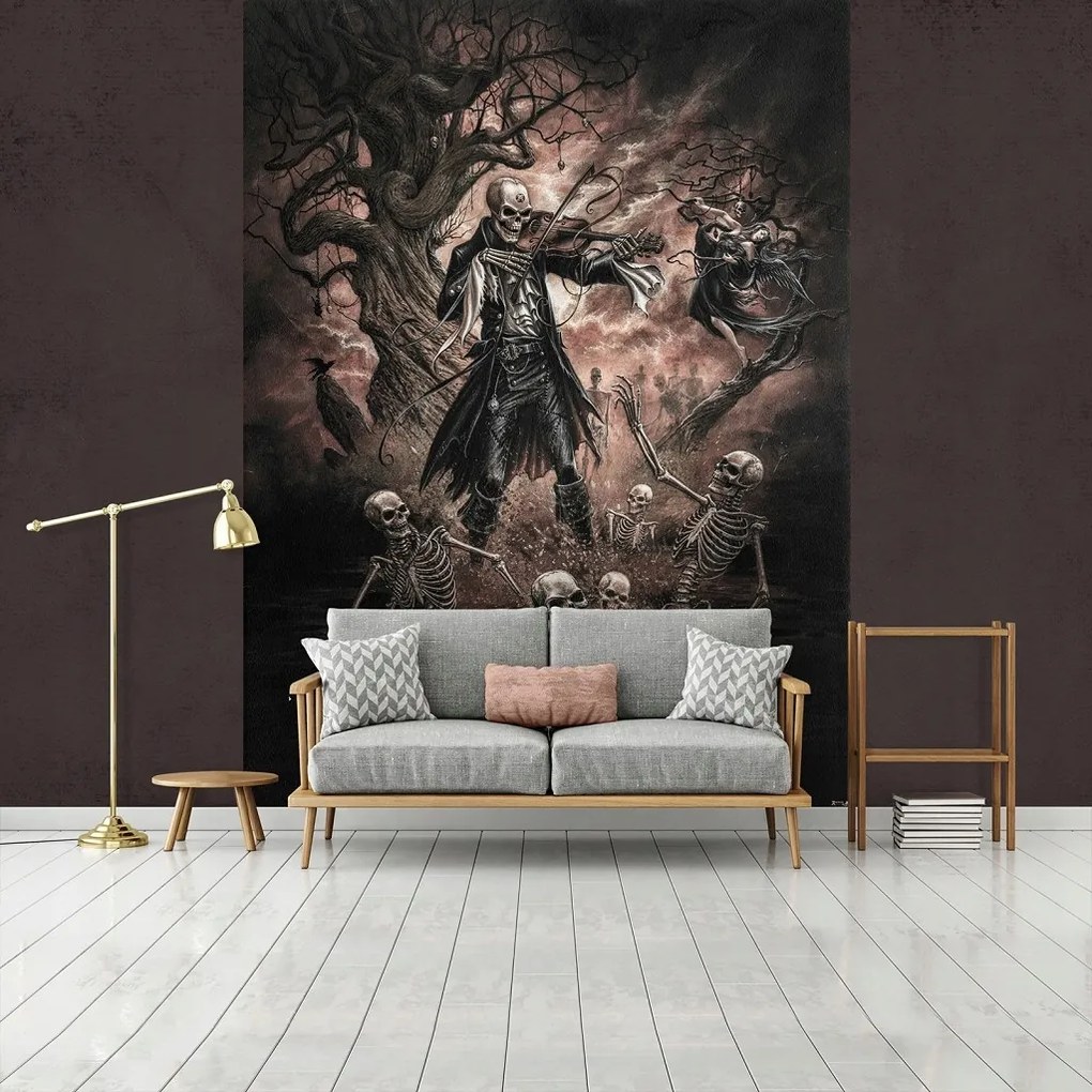 Flizelin fotótapéta 206x275 Csontváz hegedűvel +ragasztó