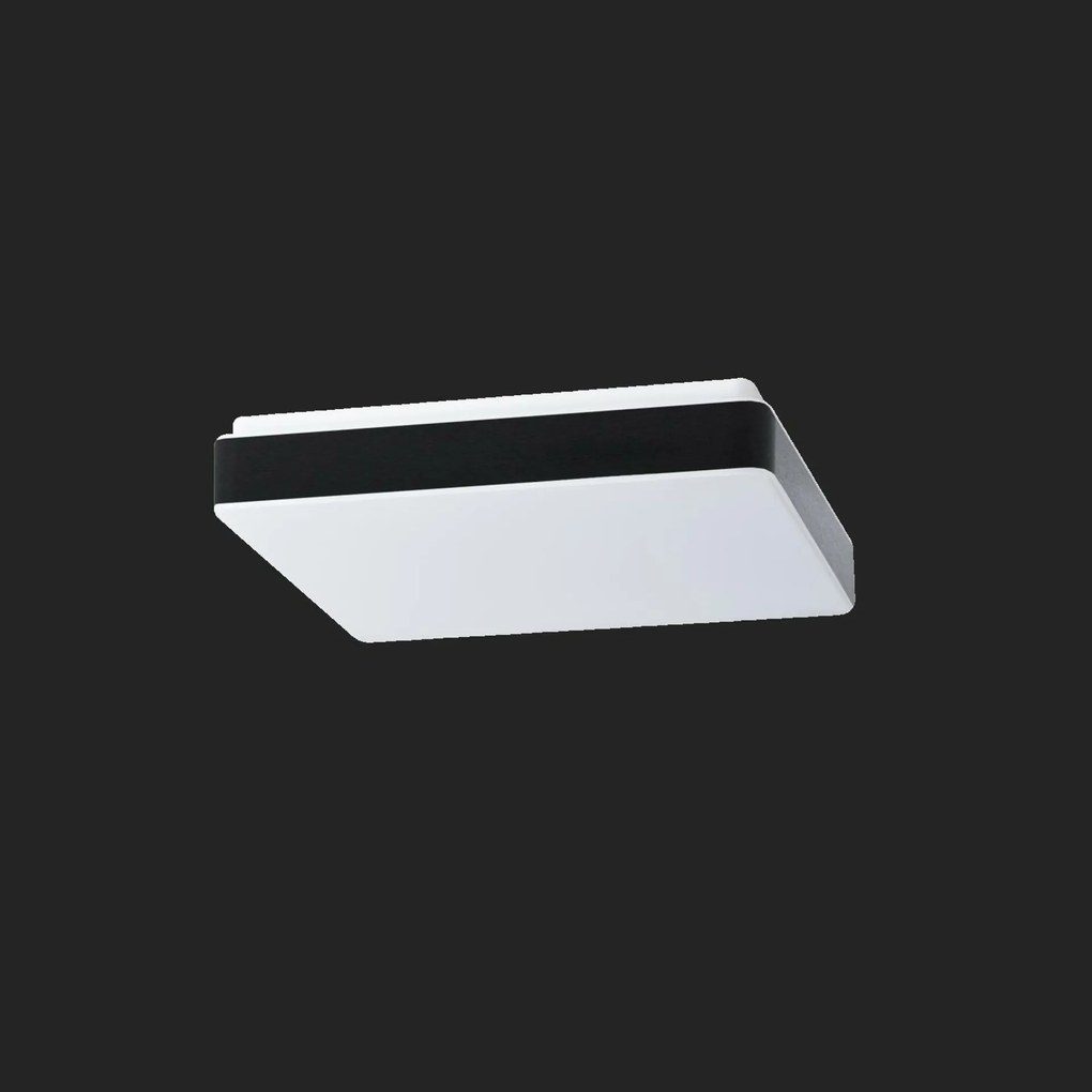 Osmont 69793 Tilia C2A mennyezeti/fali műanyag lámpa IP54 4000 K 25W L