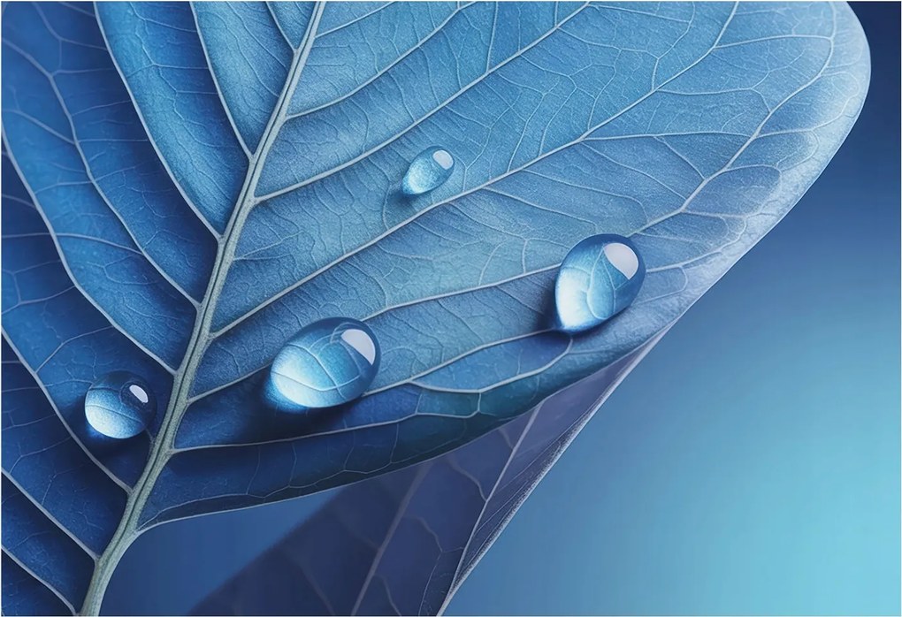 Flizelin tapéta Flizelin falikép Prémium levél kék 152x104 Ragasztó