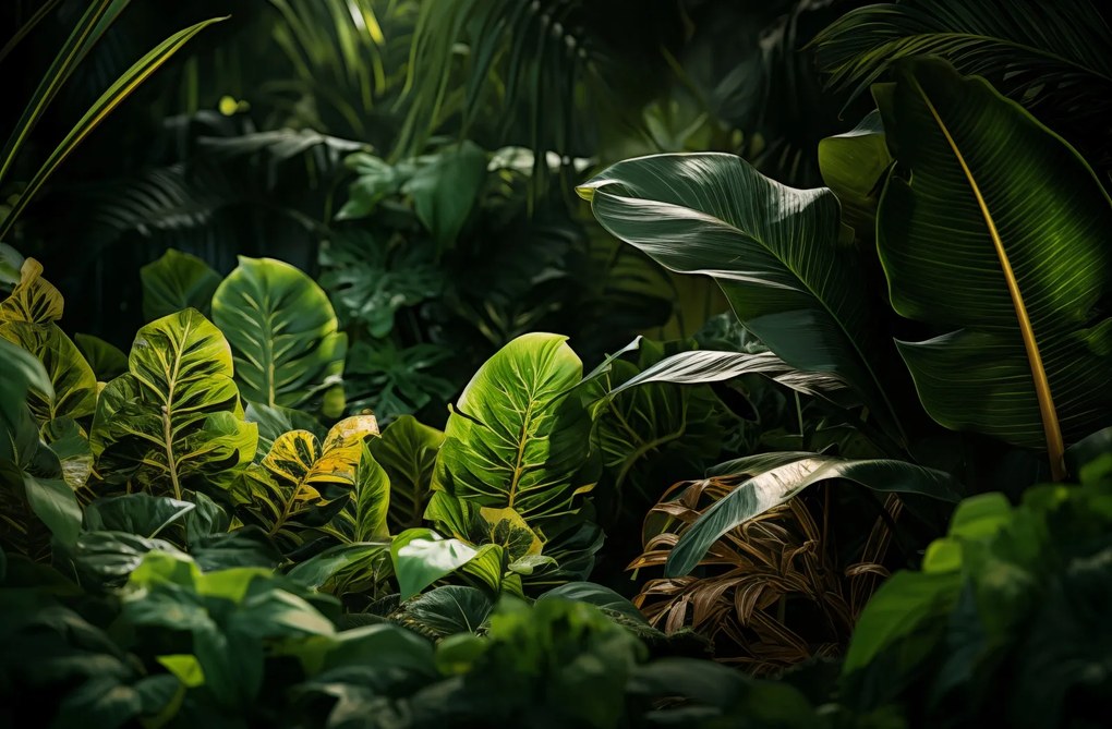 Poszter 91,5x60cm A természet eldugott zuga