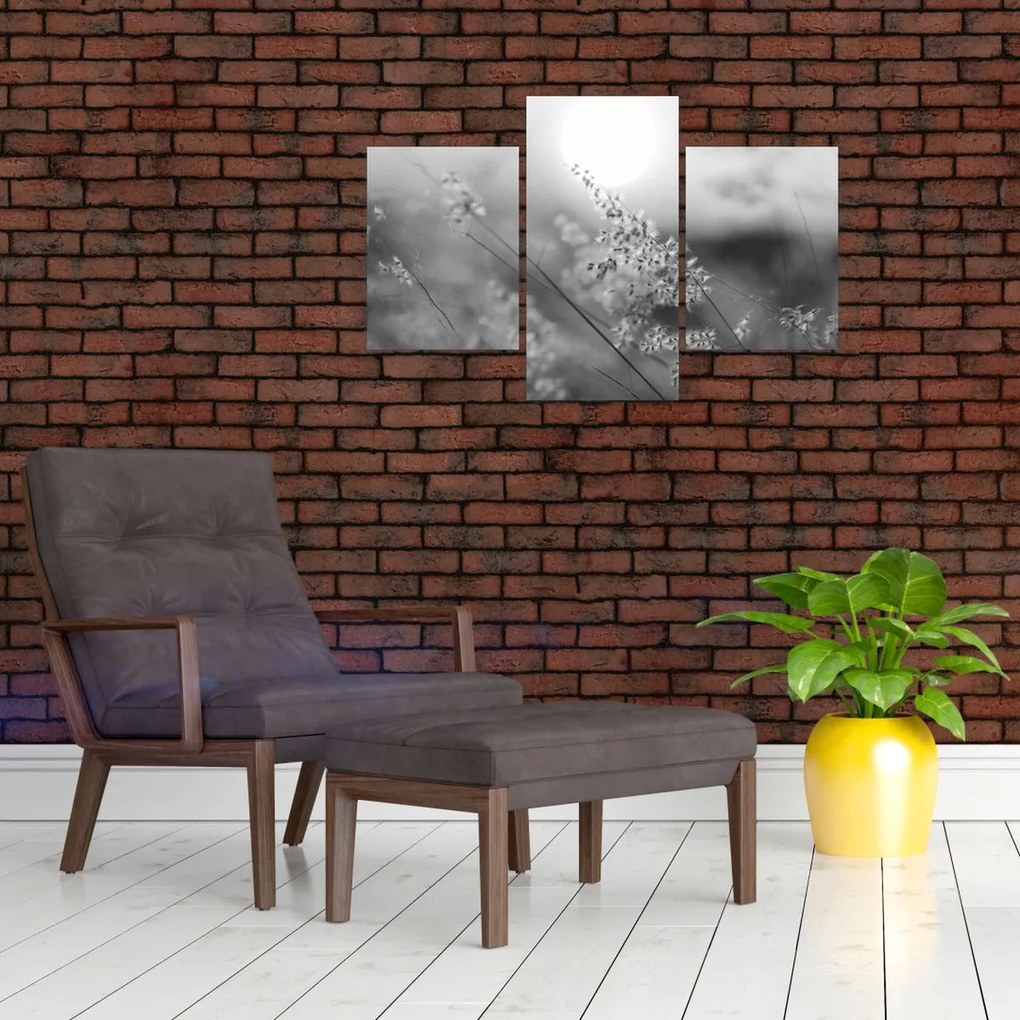 Kép - Őszi rét (90x60 cm)