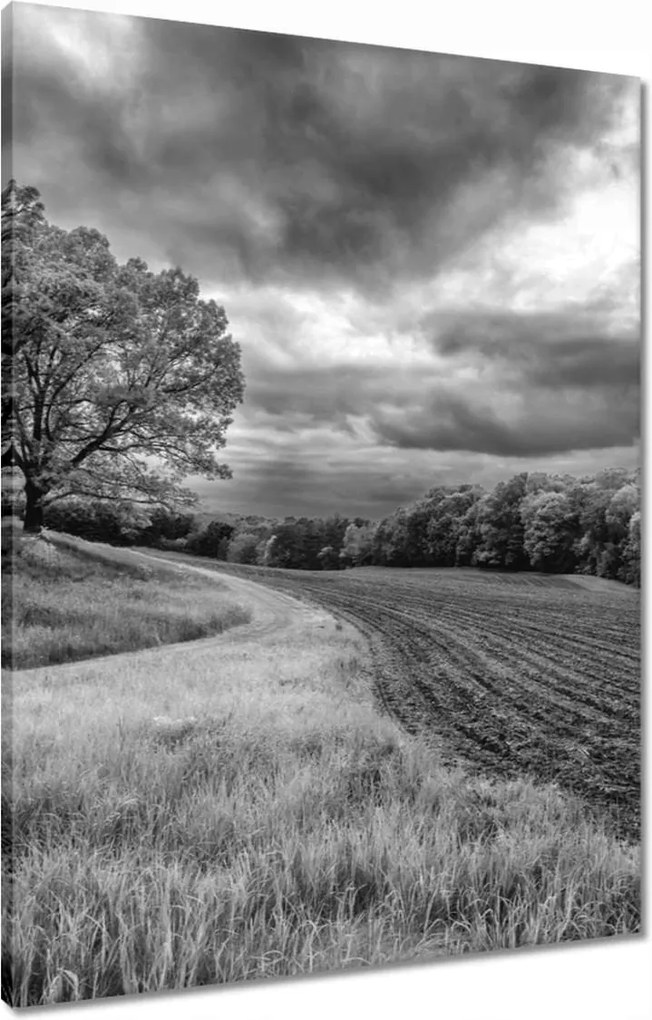 Vászonkép 60x80 Fekete-fehér mező