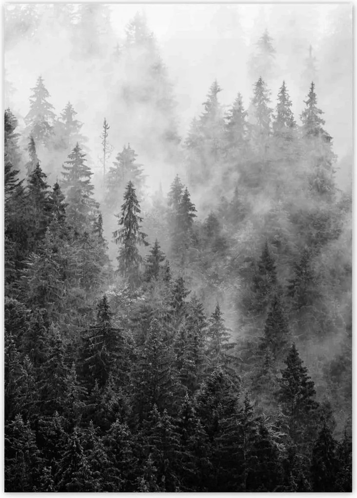 Poszterek 50x70 Tájkép Szürke Hegyek Köd