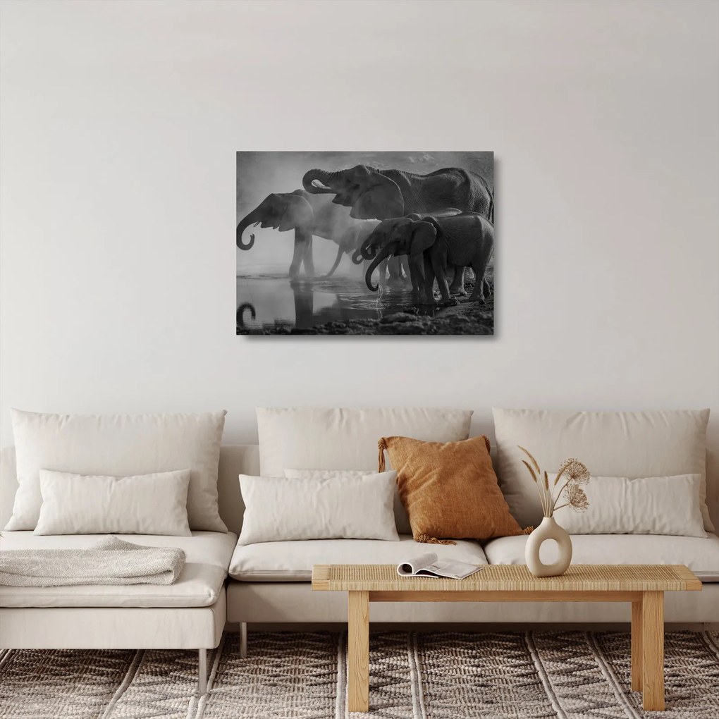 Elefánt képe - fekete fehér (üvegen) (70x50 cm)
