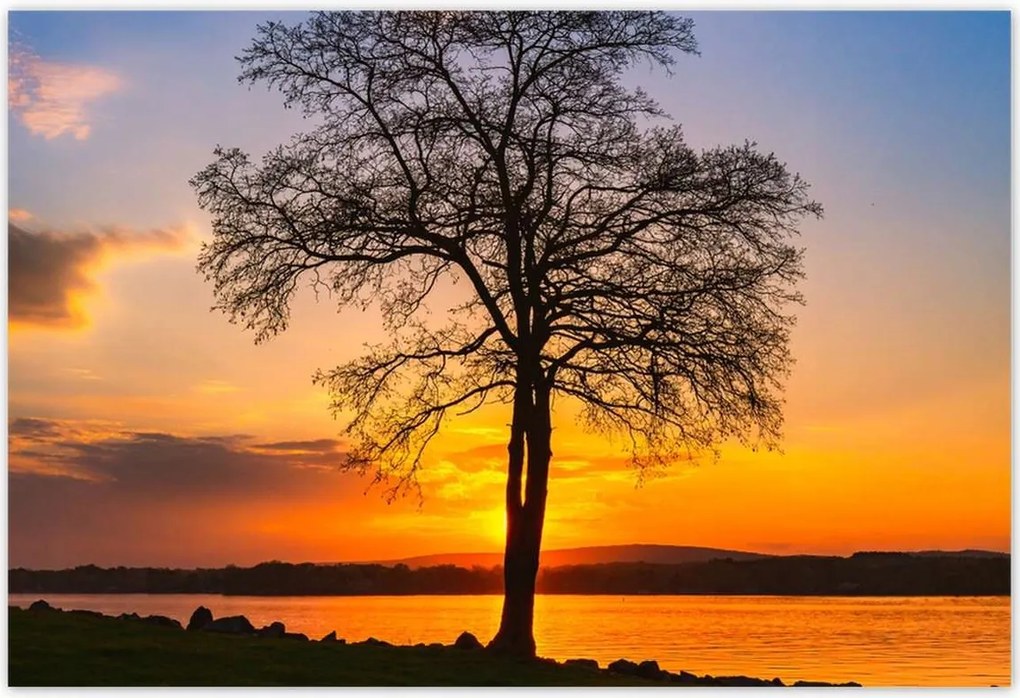 Poszterek 185x125 Fa naplemente