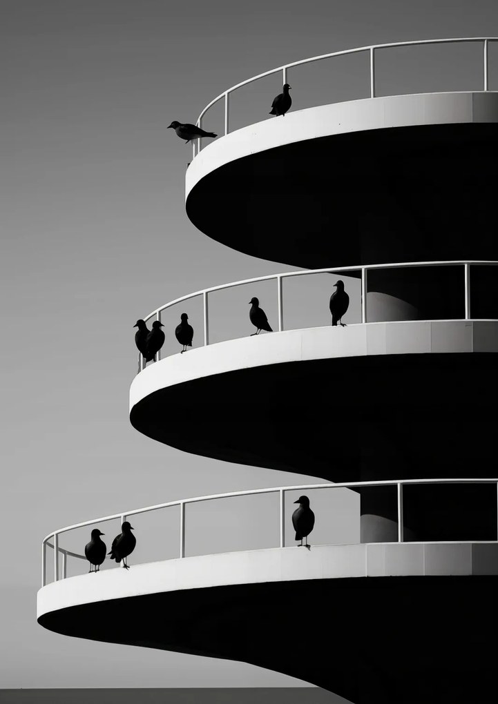 Poszter 21x29,7cm Holló árnyalatok