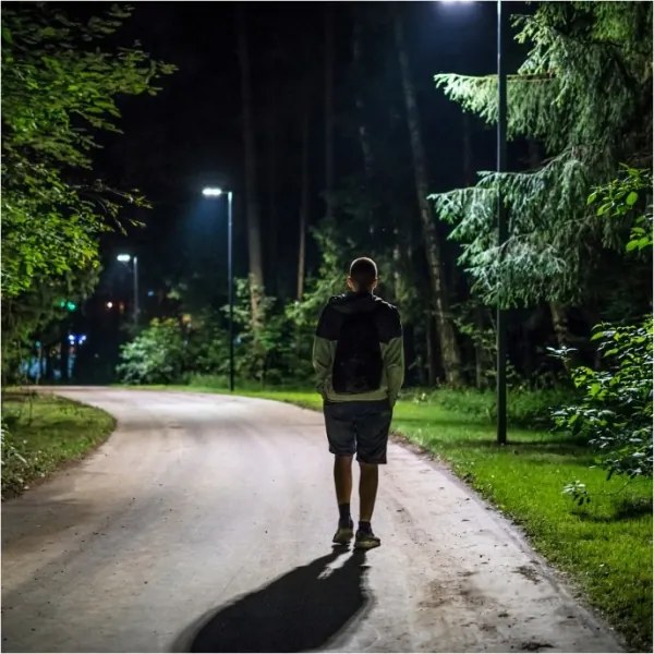 Napelemes LED utcai lámpa URBI LED/11W/3,2V 6500K érzékelővel + távirányító, IP54