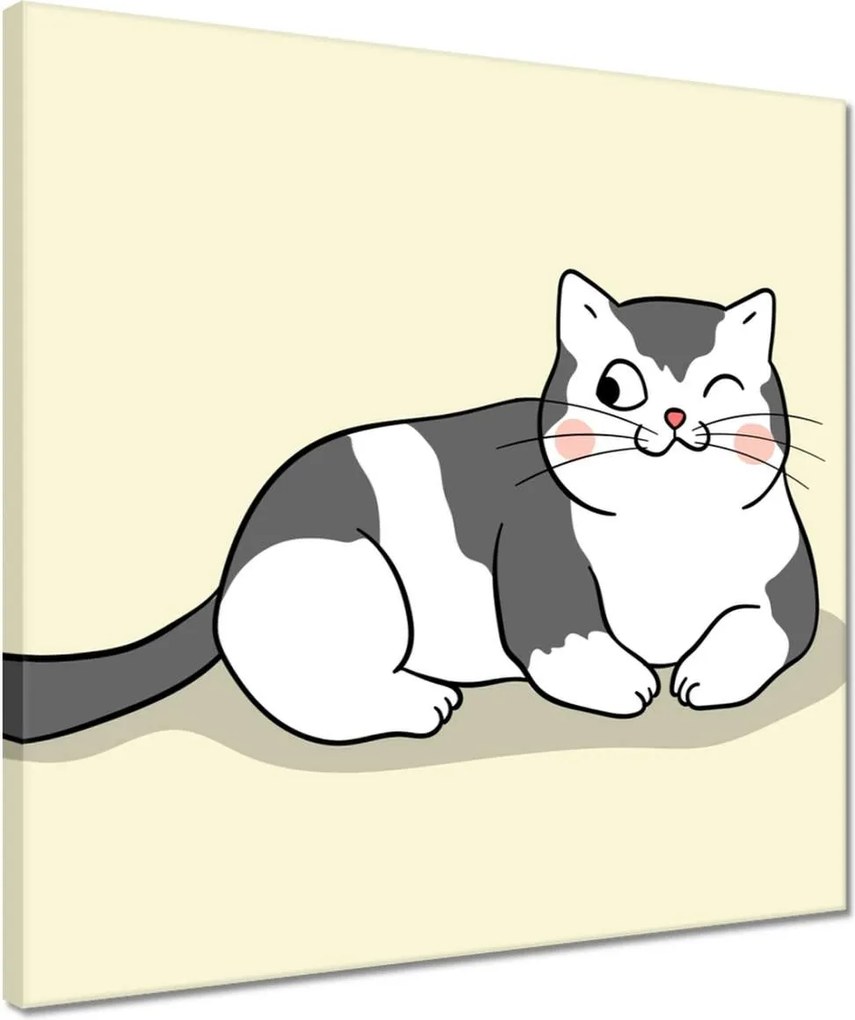 Vászonkép 40x40 Cica