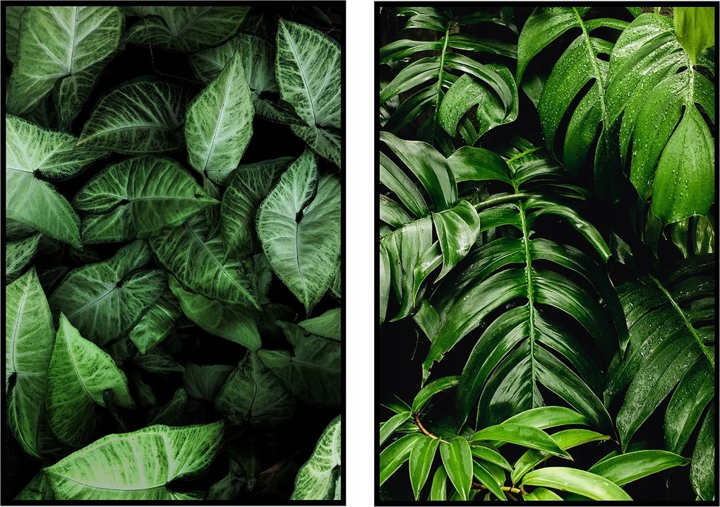 2 Botanikai poszter diptichon zöld levelek 40x50