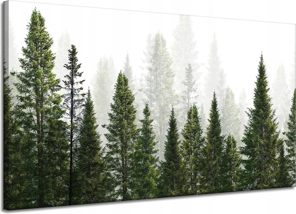 Vászonkép Esőerdő Természet Fák 120x70 cm