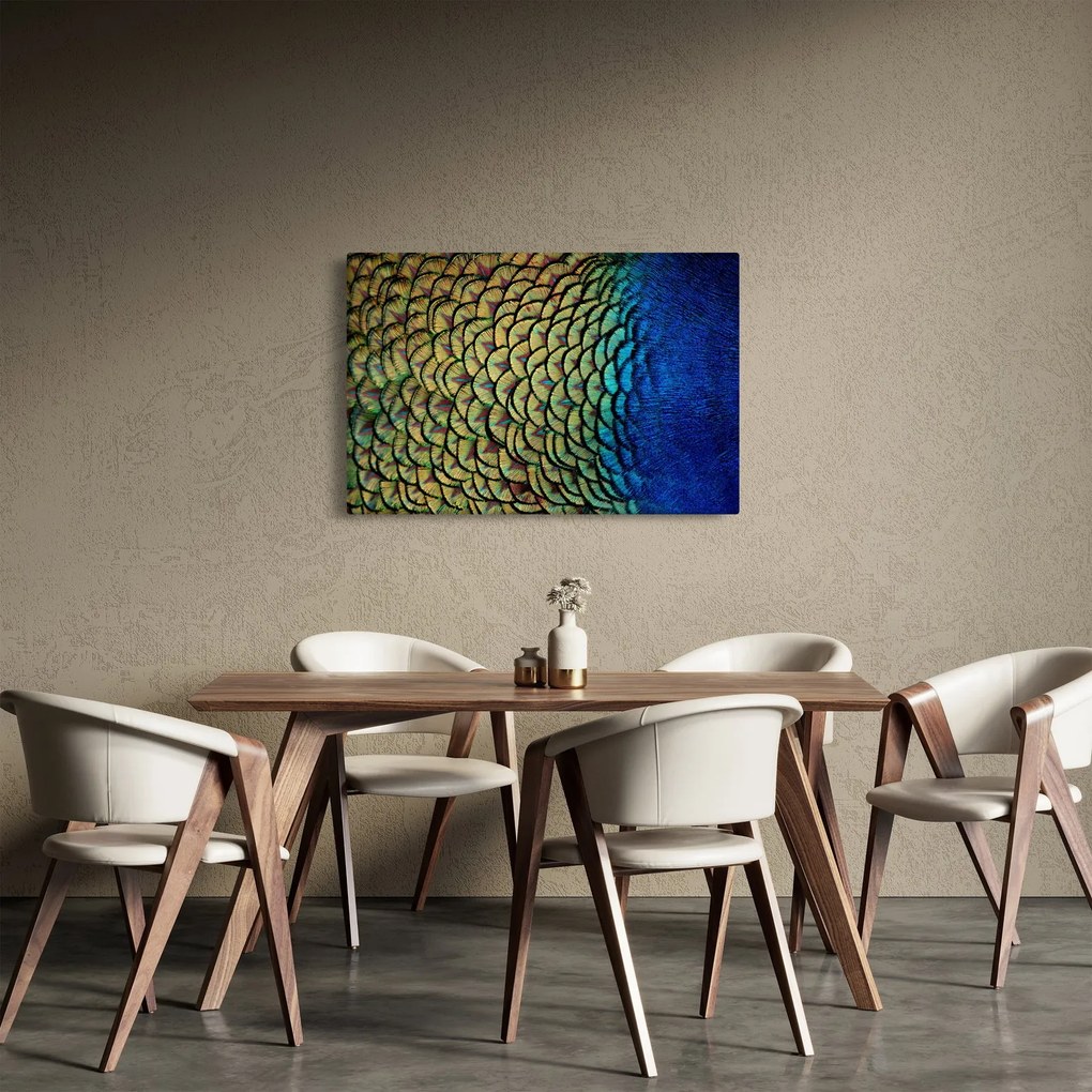 Kép - Pávatollak (90x60 cm)