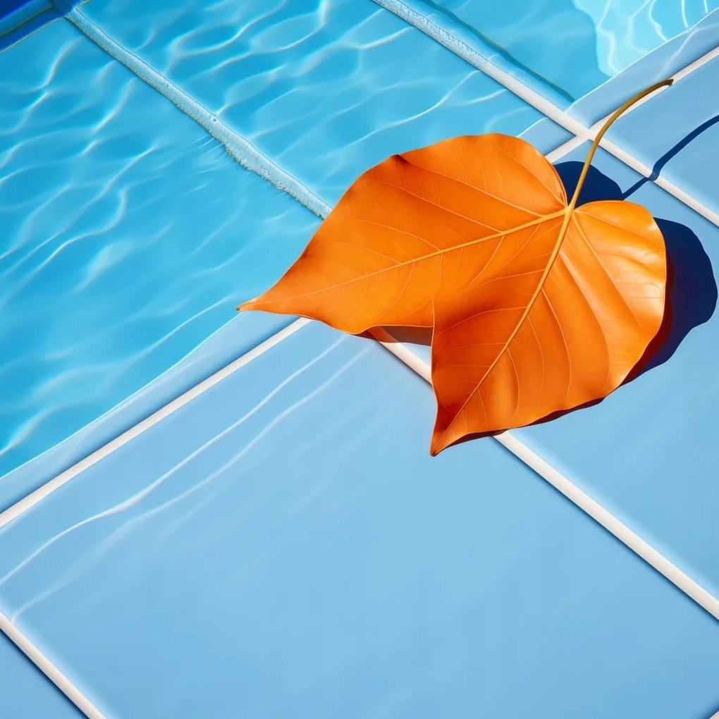 Poszter 60x60cm Levél a víz mellett