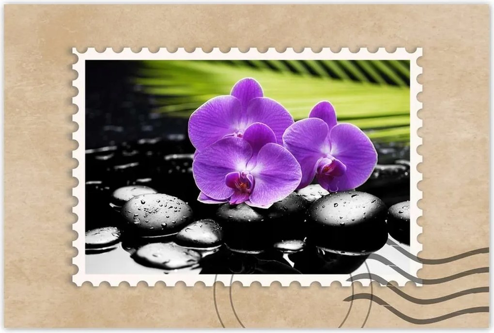 Poszter 60x40 Lila orchideák