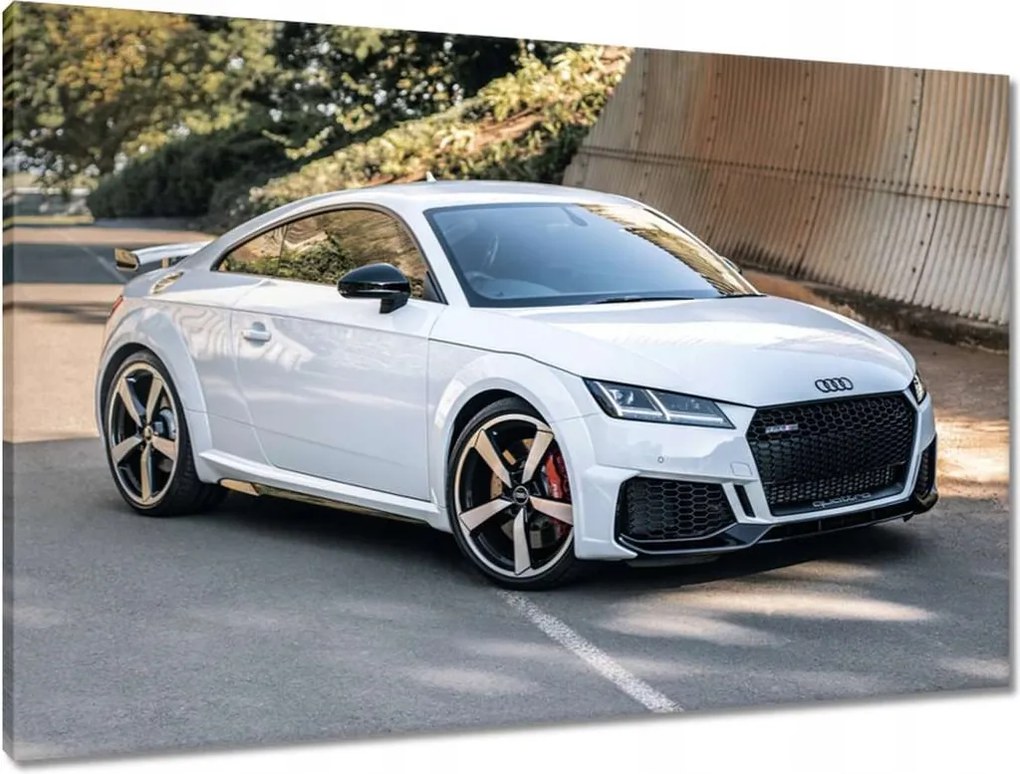 Vászonkép 90x60 Fehér Audi Quattro Tt Rs