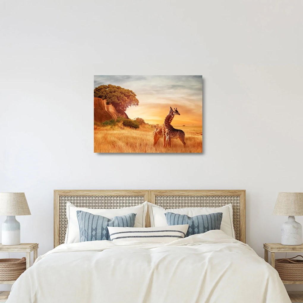 Kép - Zsiráfok Afrikában (üvegen) (70x50 cm)