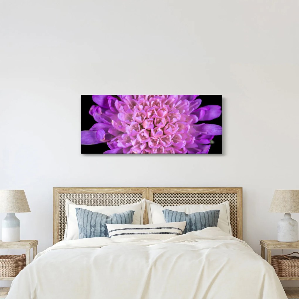 Részletes virágkép (120x50 cm)