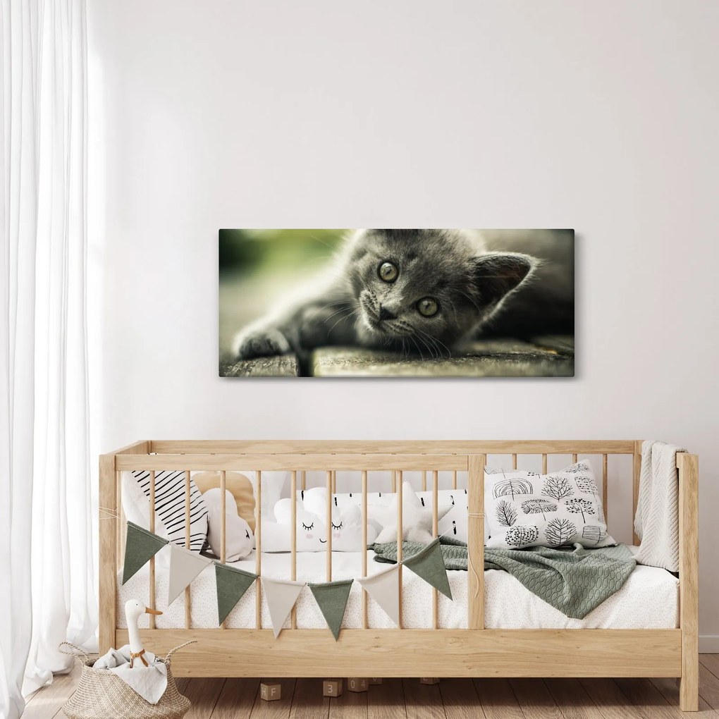 Cica képe (120x50 cm)