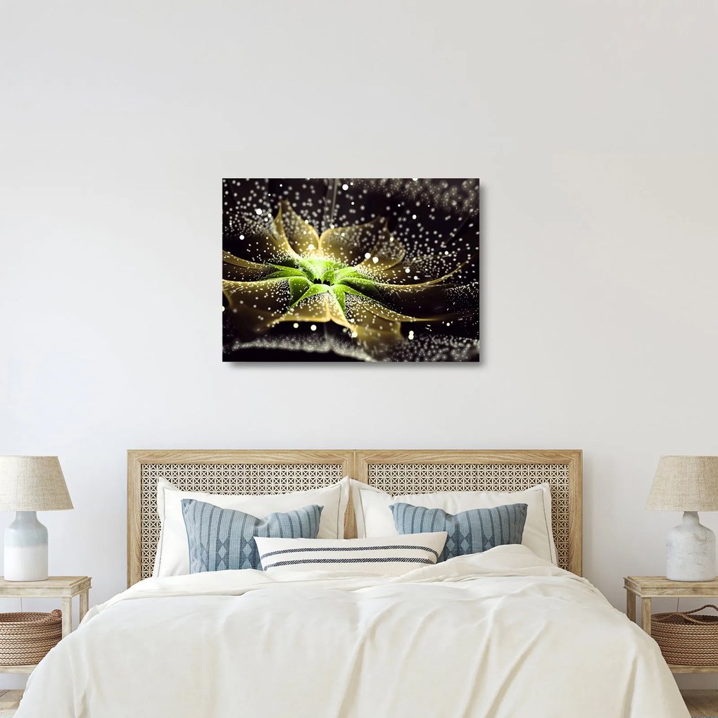 Kép - virág részlete (üvegen) (70x50 cm)