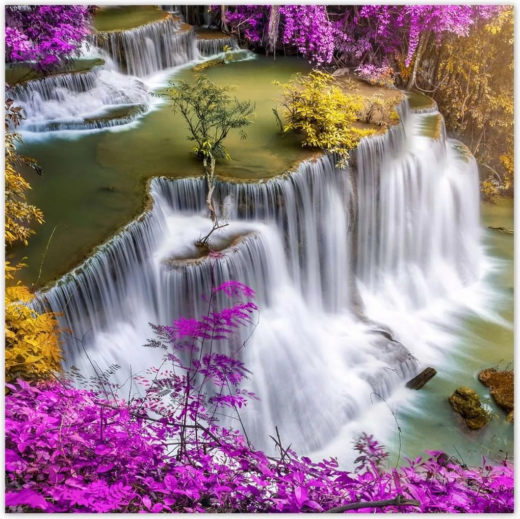 Poszterek 100x100 Lila a zuhatag körül