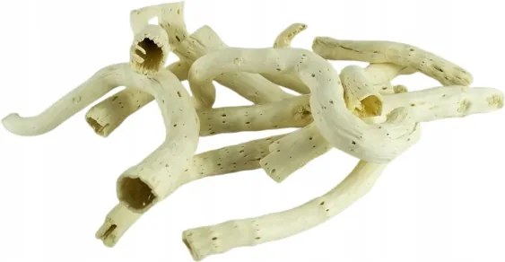 Pepecone Fehérített 10 Db 8-15 CM Pepe-cone Gyökér Torma Szárító