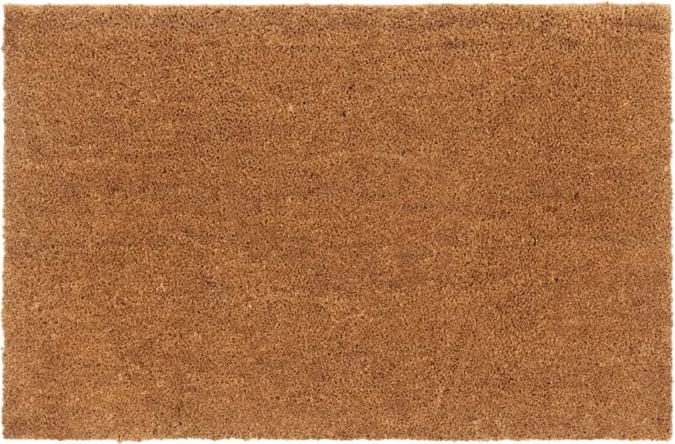 vidaXL ajtószőnyeg Natúr 65x100 cm Tufolt kókuszrost