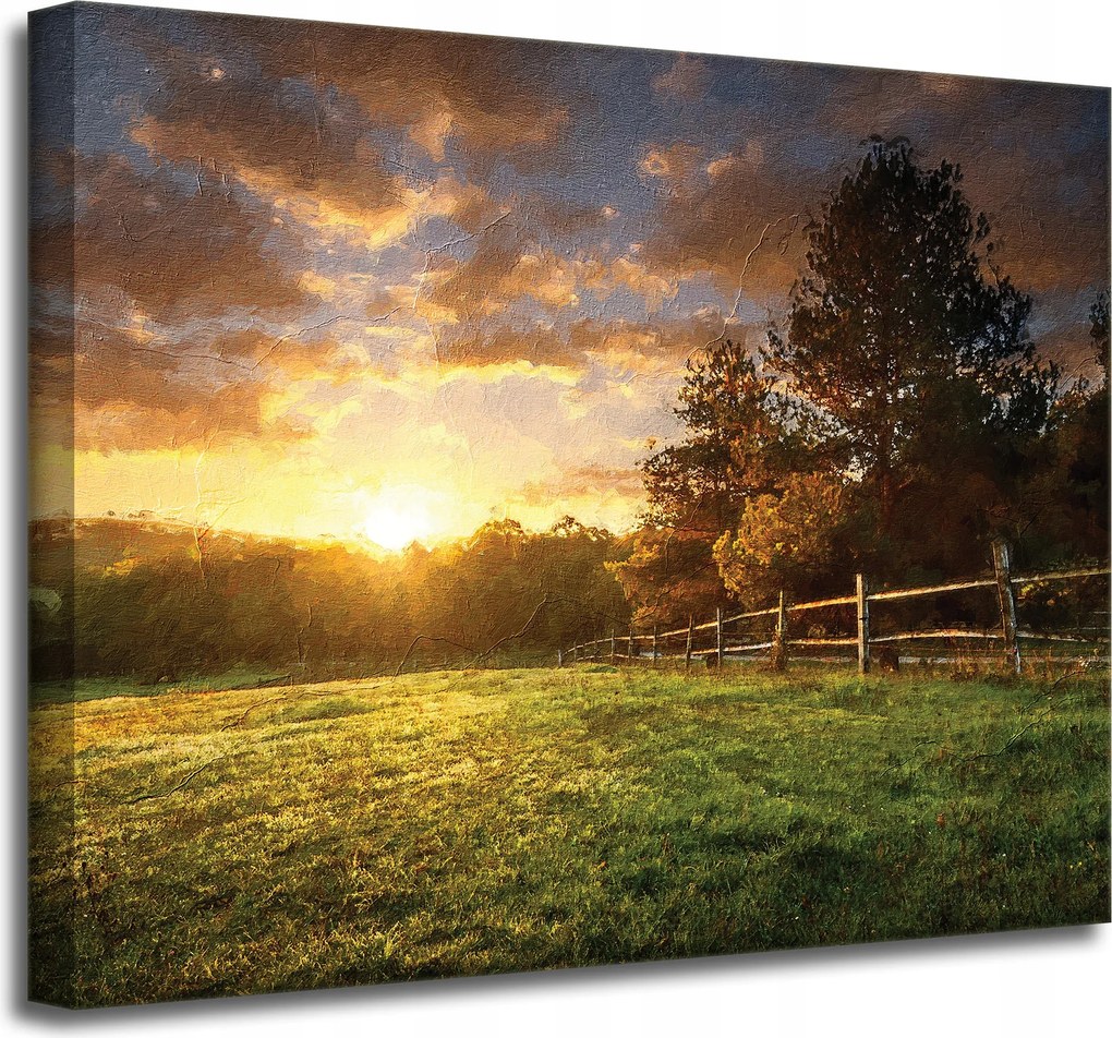 Vászonkép Nap Tájkép Falusi fák Rét 50x40 cm
