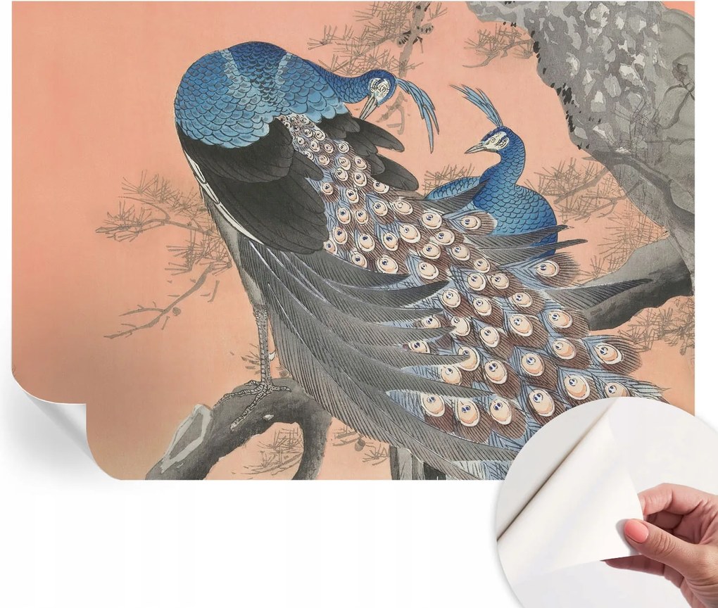 Dekoratív öntapadós fotótapéta páva elegancia 208x146 cm