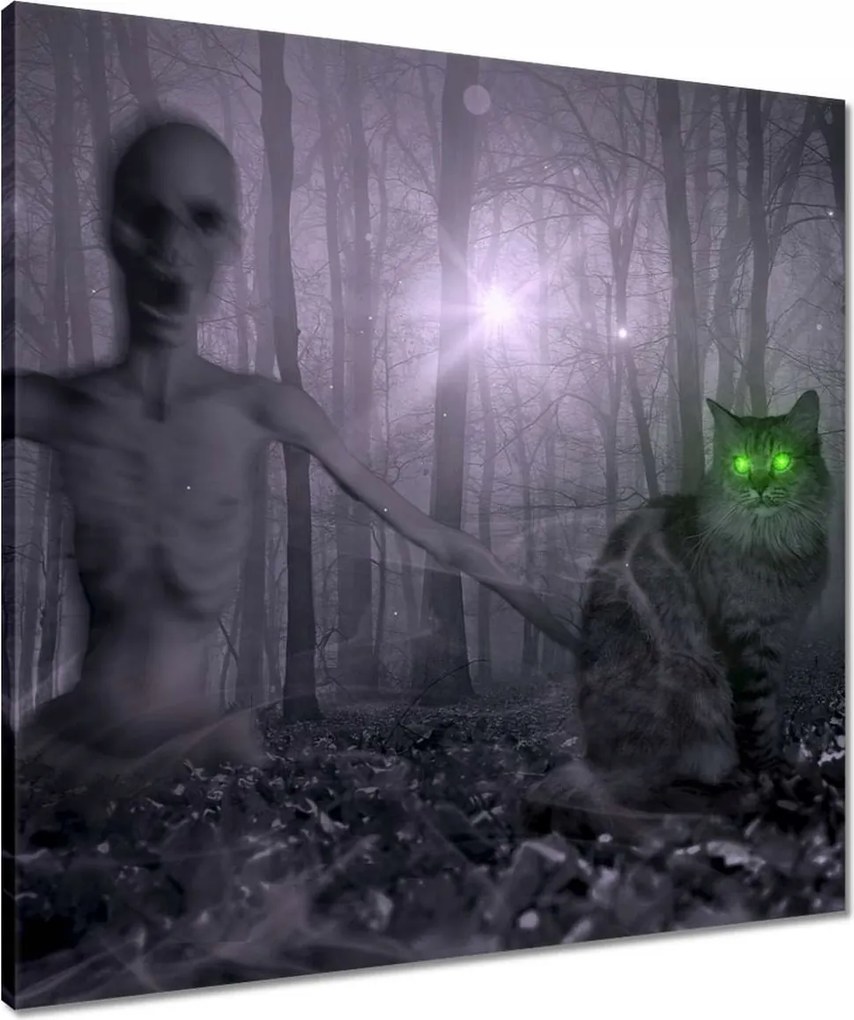 Vászonkép 60x60 Macska Alien Lime Macskák